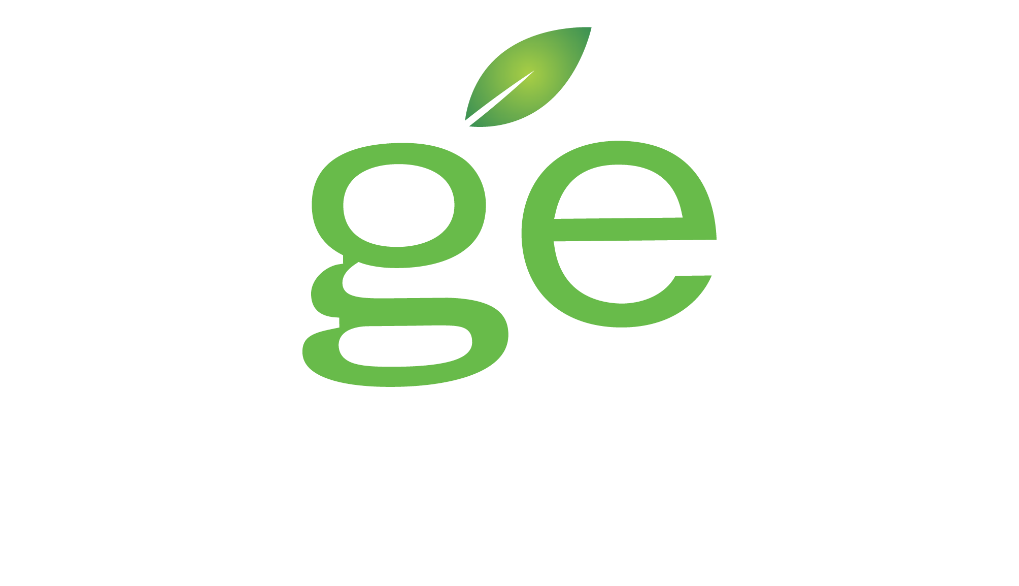 GE Property Services